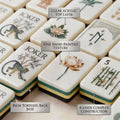 White Lotus 4-Layer Acrylic American Mahjong Set
